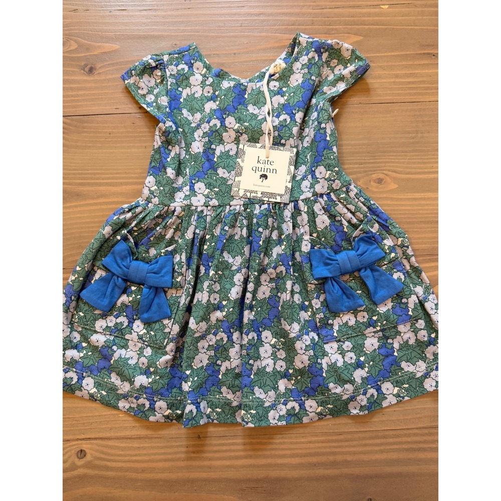 Bb8 Kate Quinn Blue Ivy Floral Cap Sleeve Back Bow Dress 12-18M NWT